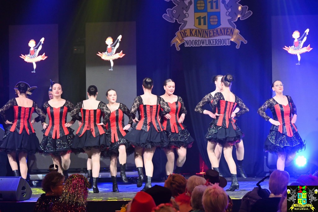 ../Images/Seniorencarnaval 2026 062.jpg